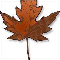 Maple Leaf clip art