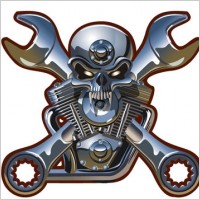 metallic skull vector
