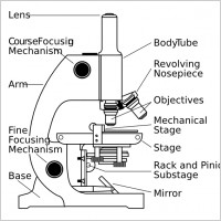 Microscope With Labels clip art