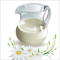 MILK AND CAMOMILE VECTOR