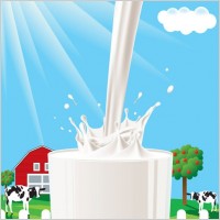 milk theme vector 4