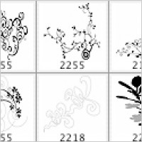mimi brushes