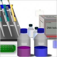 Molecular Biology work station