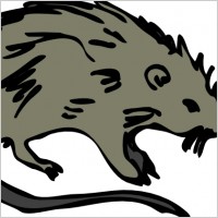 Mouse Rat Rodent clip art