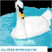 Mute Swan
