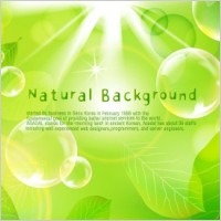Natural Green Background Vector