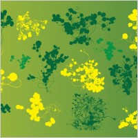 Nature Graphics