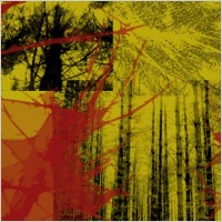 Nature Grunge Set 1
