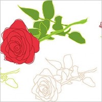 Nature rose flower leaf outline 