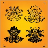 Nature Wallpaper Graphics