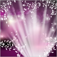 night shinning spring vector design