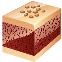 Nuts cake
