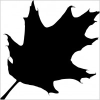 oak leaf silhouette