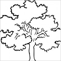 Oak Tree clip art