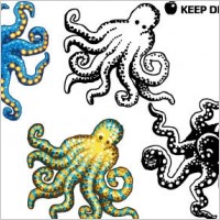 Octopus design free vectors