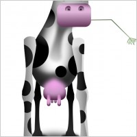Odd Cow