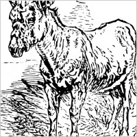Old Donkey clip art