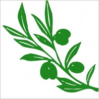 Olive Tree Branch clip art