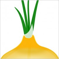 onion vector
