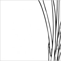 Open Crocus Flower clip art