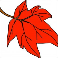 Orange Leaf clip art