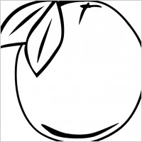 Orange Outline Fruit clip art
