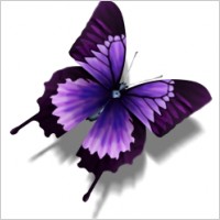 Other Butterfly