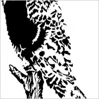 Owl On Branch clip art