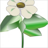 Dogwood+blossom+clip+art