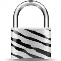 padlock zebra