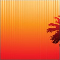 Palm tree at beach sunset 