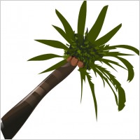 Palm Tree clip art