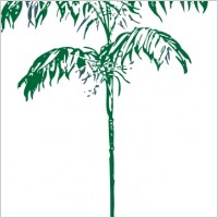 Palm Tree clip art