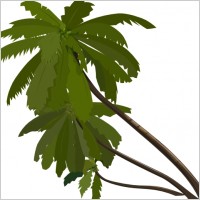 Palm Tree clip art