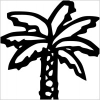 Palm Tree Leaf Vector Graphic Free For Download About