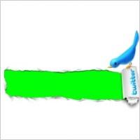 Paper hole bird easy to recolor