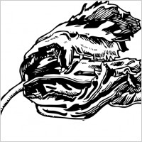 Parrot Tulip clip art