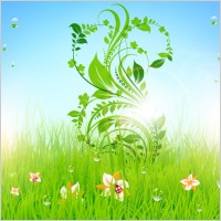 pattern of green grass 05 vector
