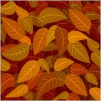 Pattern Vector 13