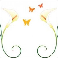 Patterns Vector 58