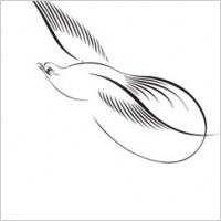 Patterns Vector 8