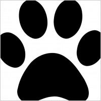 Paw Print