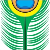 Peacock Feather clip art