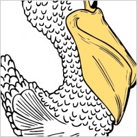 Pelican Side View clip art