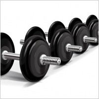 Weights Vector