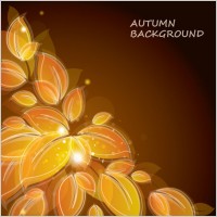 petal background 02 vector