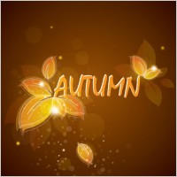 petal background 04 vector