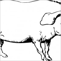 Pig clip art