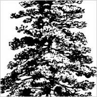 Pine Tree Clipart