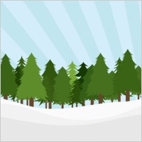 Pine Trees Landscape